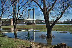 Muelheimer Bruecke - Bernhard Saalfeld